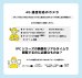 画像8: 4G通信型ソーラー充電式常時録画対応セキュリティカメラ SD/SIM別（別途SIMが必須）予定納期5月中旬以降