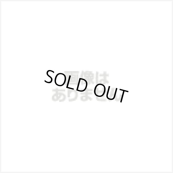 画像1: 有償交換BS-9b本体+USB充電ケーブル (1)